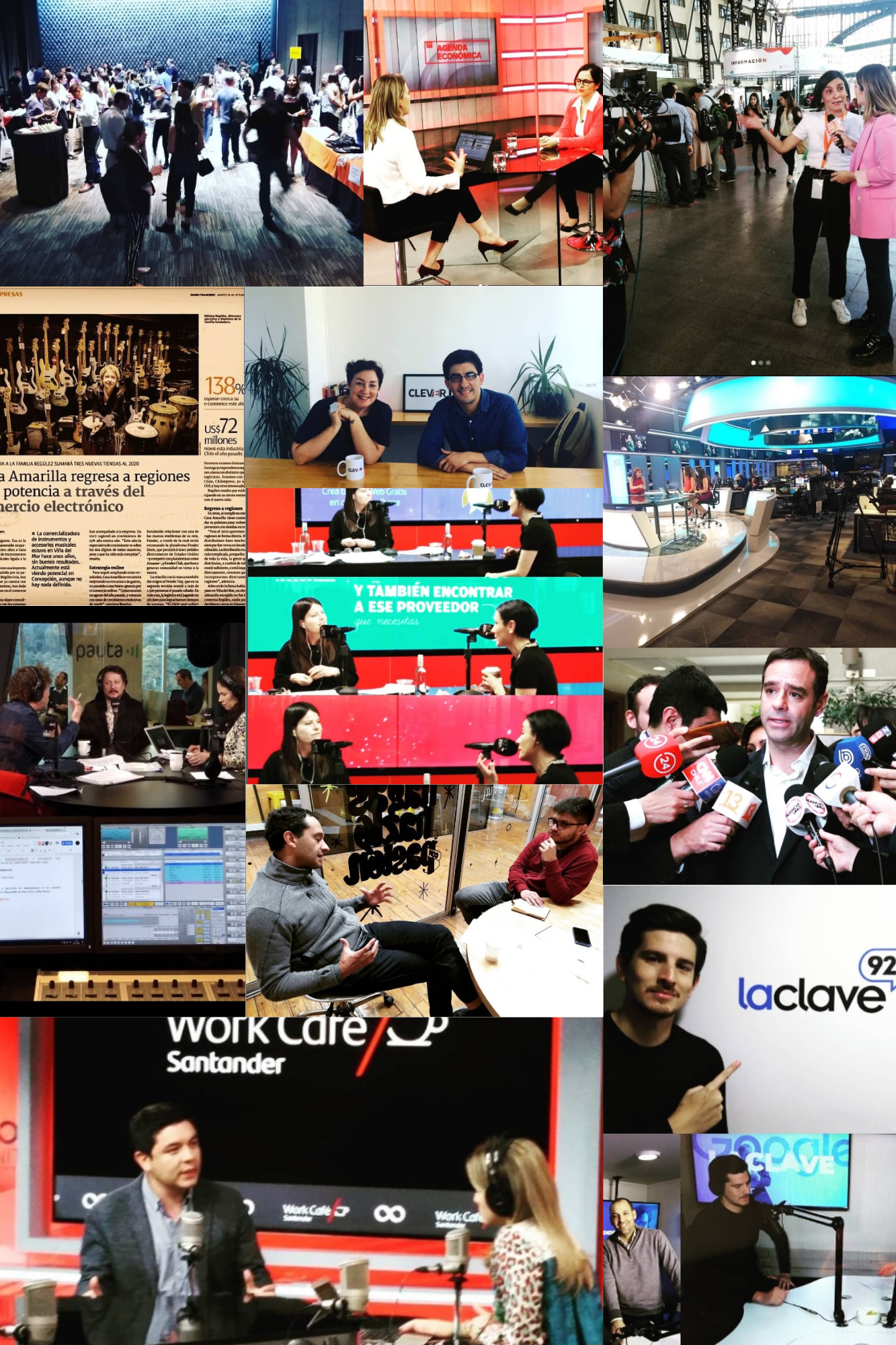 Collage de fotografías vertical de animales marrón